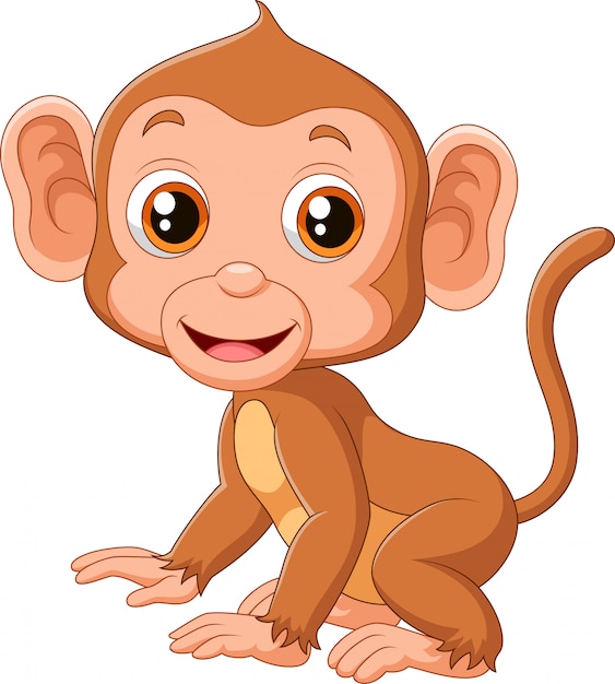 귀여운 아기 원숭이