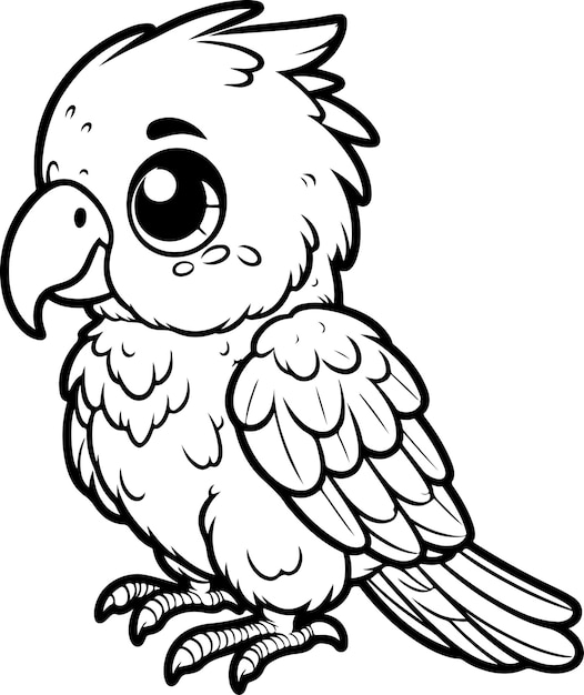 Cute baby parrot black outline vector illustration Coloring book for kids