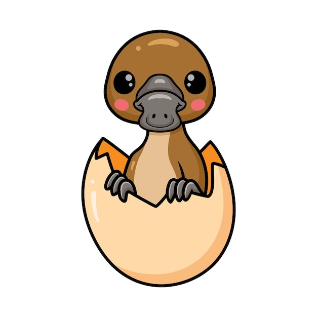 ベクトル 卵の中のかわいい赤ちゃんカモノハシ漫画