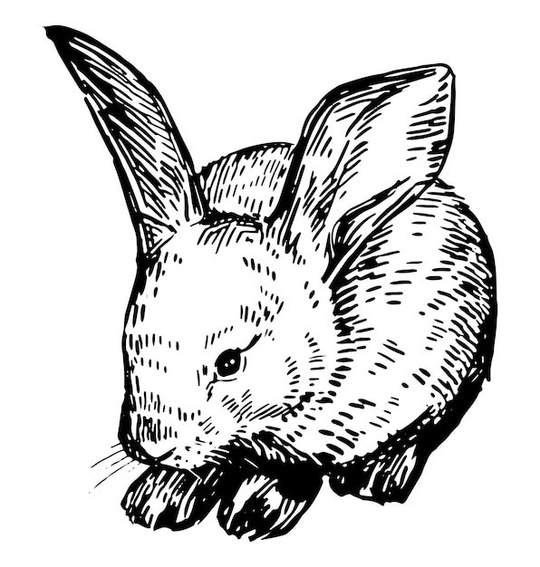 かわいい赤ちゃんウサギかわいいウサギ彫刻スタイルの野生動物手描きベクトルイラスト白い背景で隔離のレトロなクリップアート