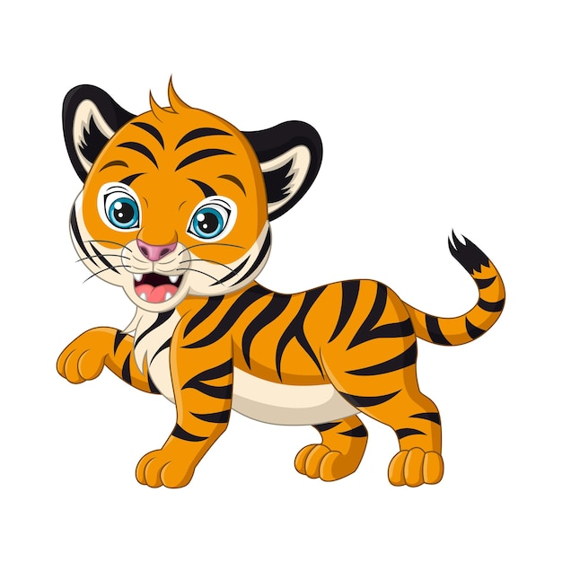 Cute baby tiger cartoon on white 