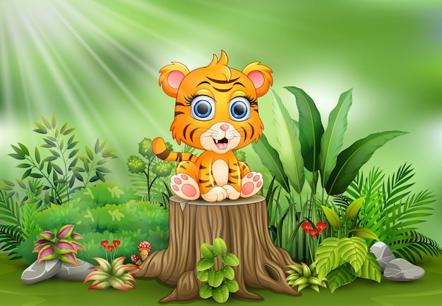 Cute baby tiger sitting on tree stump