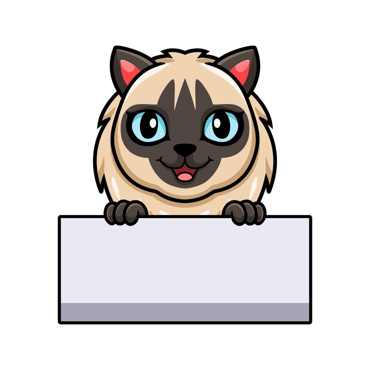 Vector cute balinese cat cartoon holding blank sign