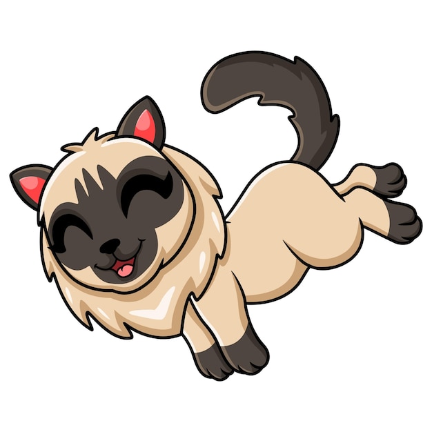 Cute balinese cat cartoon walking