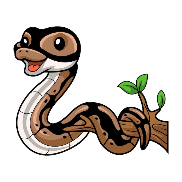 Cute ball python snake cartoon on tree branch