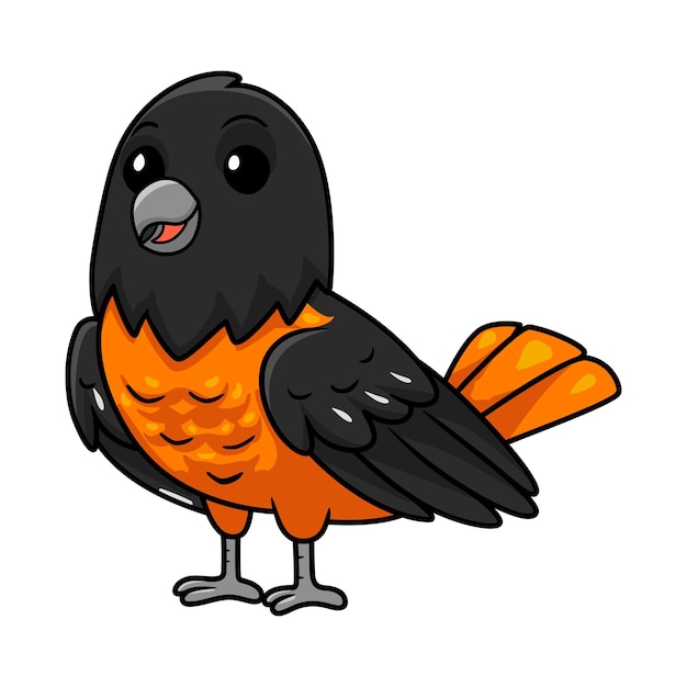 Cute baltimore oriole bird cartoon