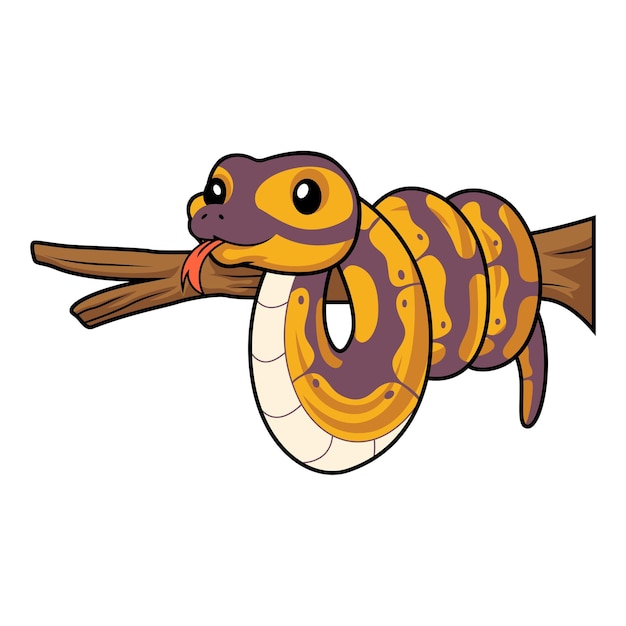 Cute banana ball python snake cartoon on tree branch