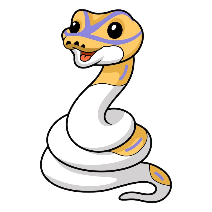 वेक्टर cute banana pied ball python cartoon