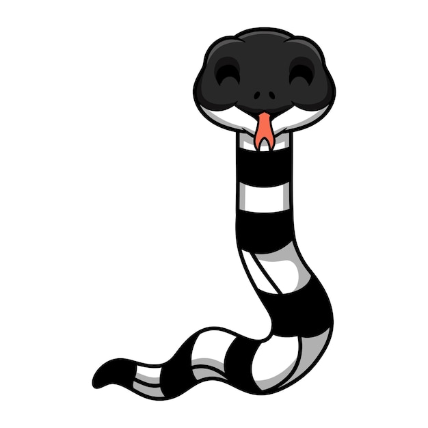 Vector cute banded krait snake cartoon