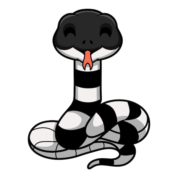 Vector cute banded krait snake cartoon