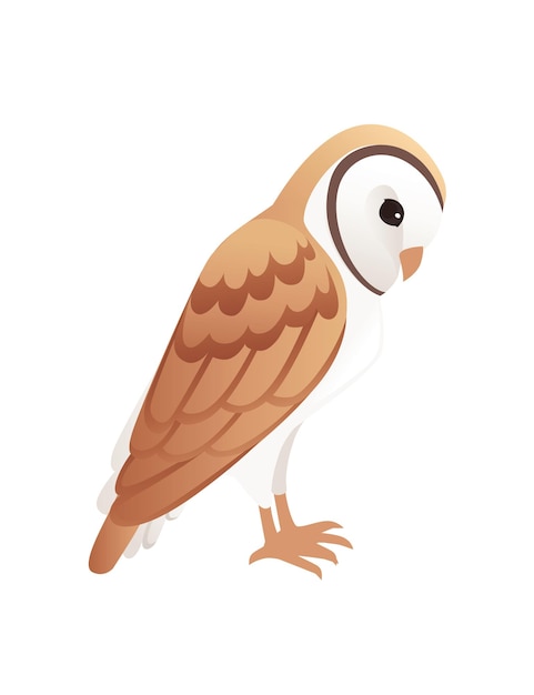 Cute barn owl tyto alba with white face and brown wings cartoon wild forest bird animal design flat vector illustration isolated on white background