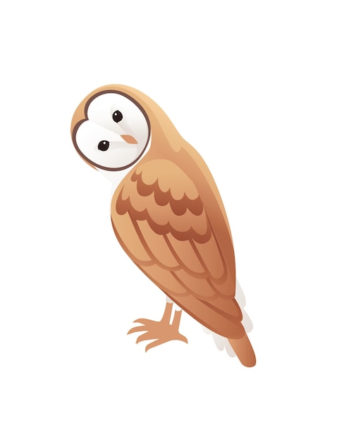 Cute barn owl tyto alba with white face and brown wings cartoon wild forest bird animal design flat vector illustration isolated on white background