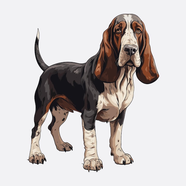 Cute basset hound dog cartoon vector art illustration design