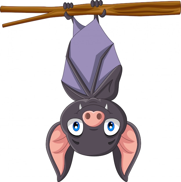 Vector cute bat cartoon hanging on the branch