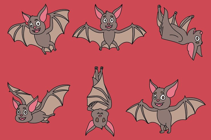 Vector cute bat character cartoon style