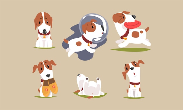 Cute Beagle Dog Cartoon Character Collection Funny Purebred Pet Animal in Different Situations Vector Illustration