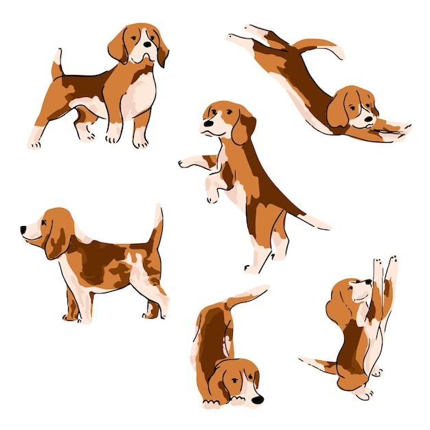 ベクトル かわいいビーグル犬の子犬セットさまざまなポーズやアクションのフラット犬のコレクション ベクトル図