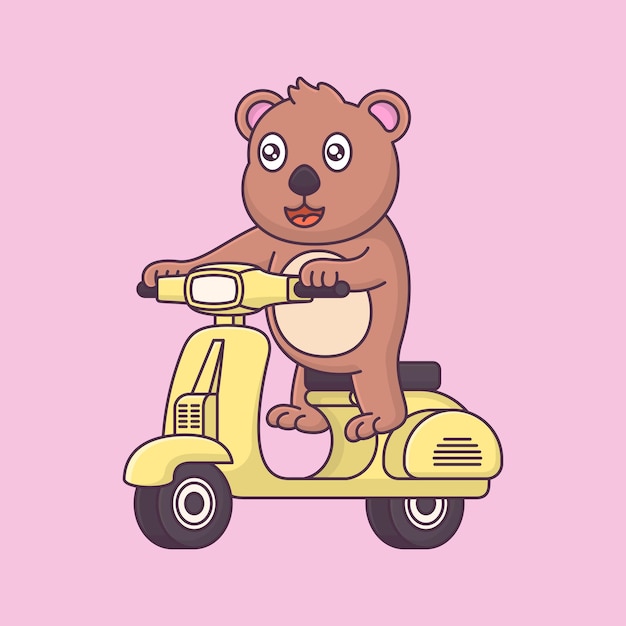 Cute bear is riding a motorbike, animal riding cartoon vector illustration icon isolated