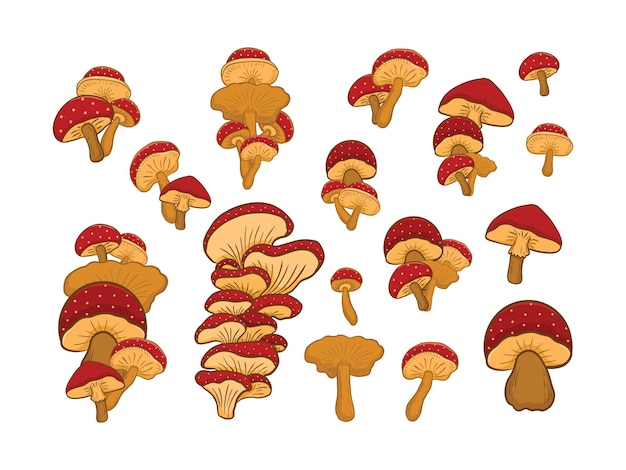 Simpatico e bellissimo vettore di illustrazione dei funghi