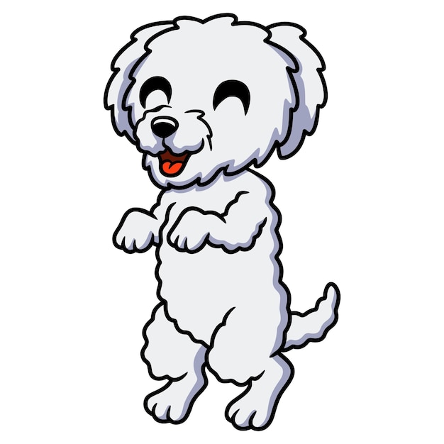 Vector cute bichon frise cartoon standing