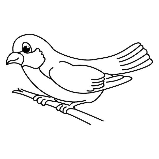 Cute bird cartoon characters vector illustration For kids coloring book