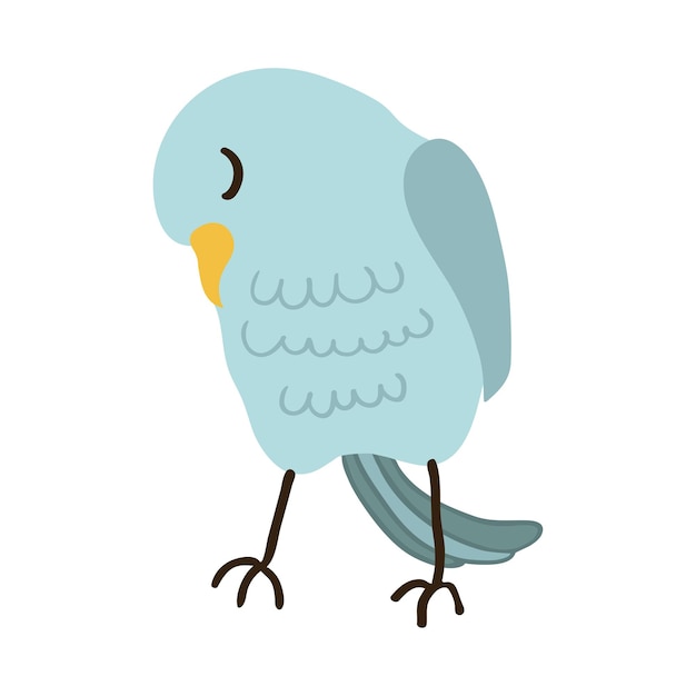 Cute Bird Colorful Illustration