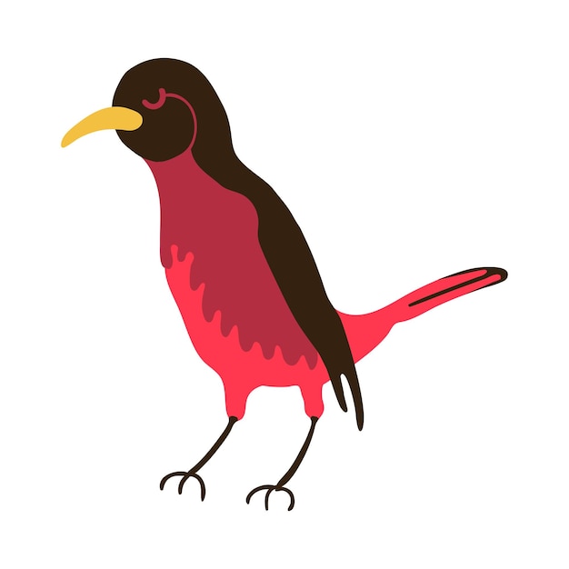 Cute Bird Colorful Illustration
