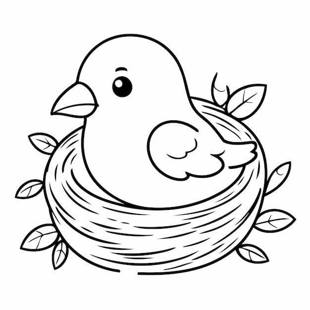 Cute bird drawing for toddlers book