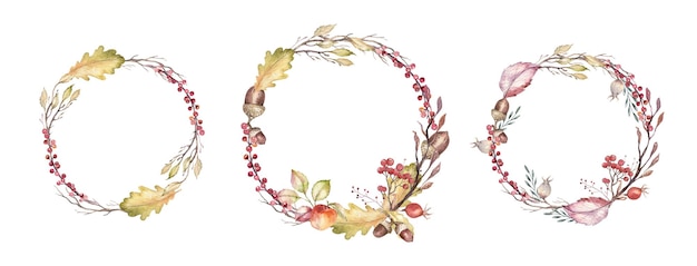 Cute bird and floral wreath Watercolor painting autumn flowers leaves branch berries frame