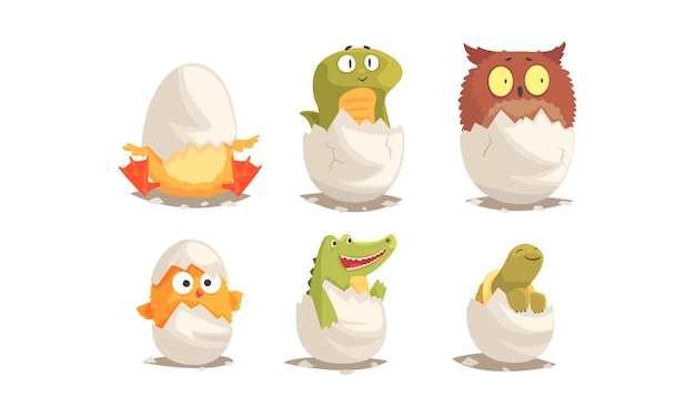 Vector cute birds and reptiles hatching vector set cartoon new born creatures collection