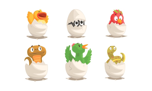 Vector cute birds and reptiles hatching vector set cartoon new born creatures collection