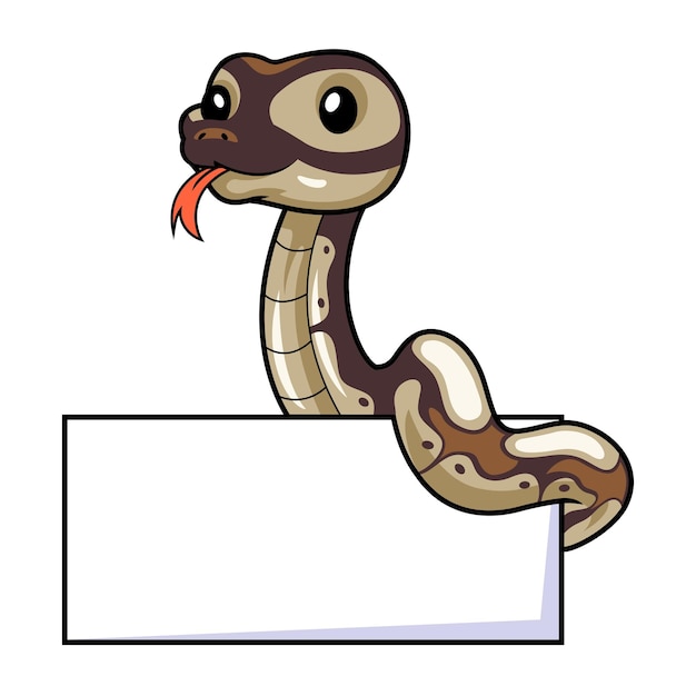 Cute black head butter ball python cartoon with blank sign