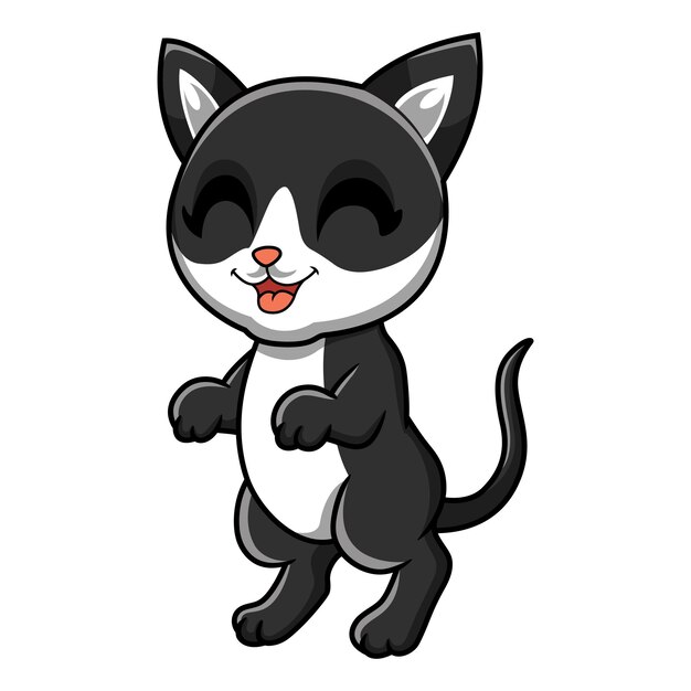 Cute black smoke cat cartoon