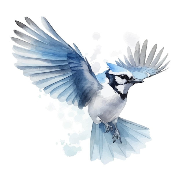 Cute blue jay bird cartoon in watercolor painting style