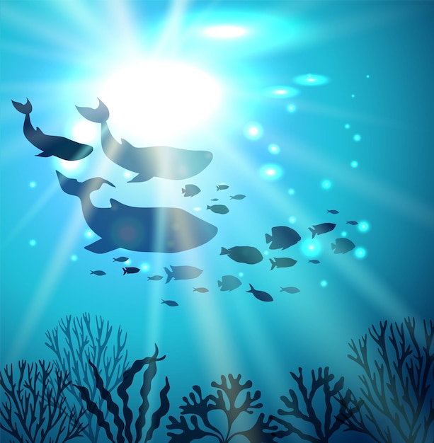 Vettore carino blu balenottera delfino pesce e coralli mondo oceano giorno giugno poster quadrato tropicale con paesaggio o