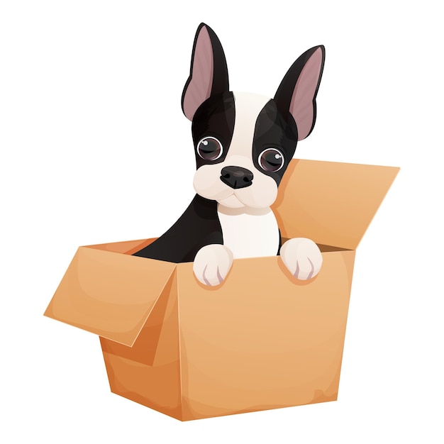 Cute boston terrier dog sitting in the box, adorable pet in cartoon style