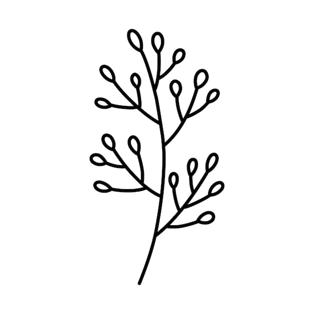 Vettore ramo carino con bacche isolate su sfondo bianco disegnato a mano doodle illustrazione