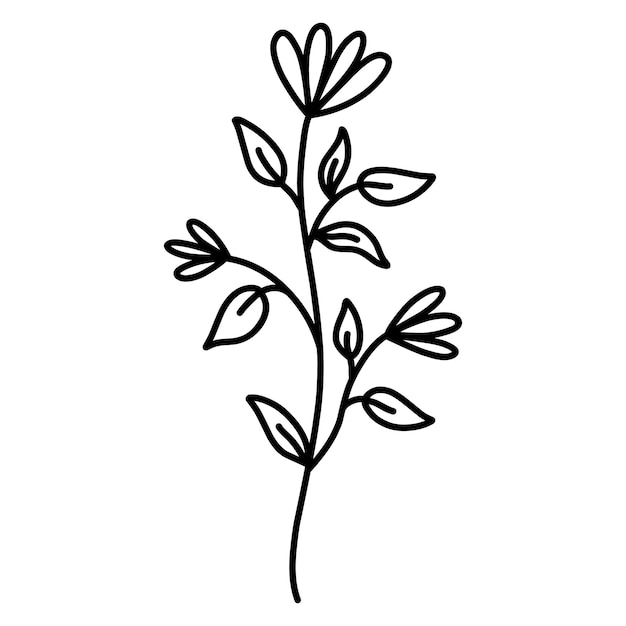 Cute branch with flowers and leaves isolated on white background Botanical doodle clipart