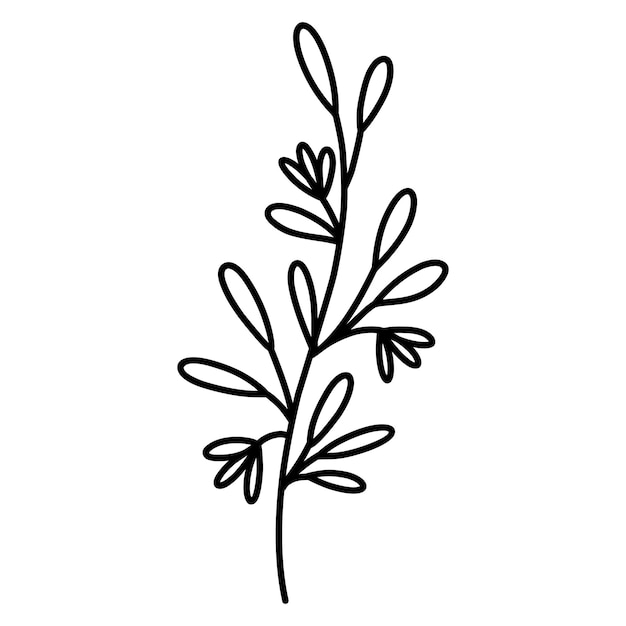 Cute branch with leaves and flowers isolated on white background hand drawn doodle illustration