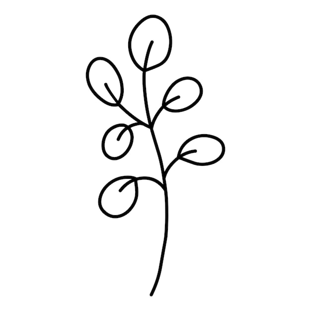 Cute branch with leaves isolated on white background Botanical clipart handdrawn doodle illustration