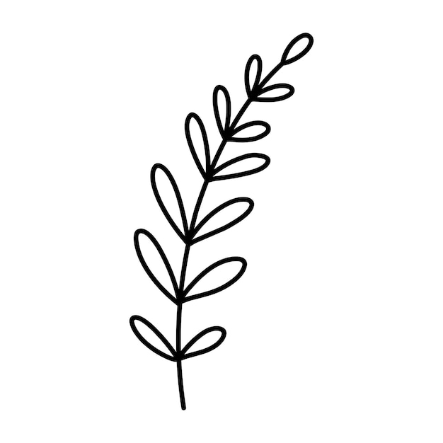 Cute branch with leaves isolated on white background hand drawn doodle illustration