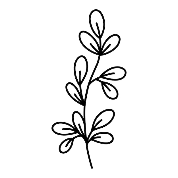 Симпатичная ветка с листьями на белом фоне, нарисованная вручную каракули иллюстрации Ботанический клипарт