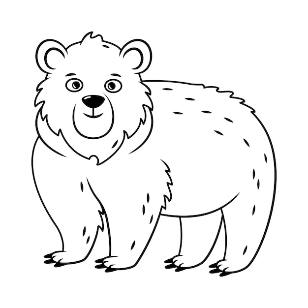 Cute brown bear stands and looks straight forest animals outline image