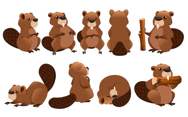 cute brown beaver collection cartoon character design illustration