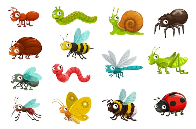 Vector cute bugs and insects cartoon characters.