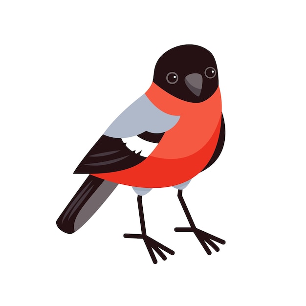 Vector a cute bullfinch in a cartoon style is standing isolated winter bird