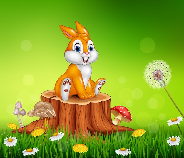 Cute bunny sitting on tree stump grass background