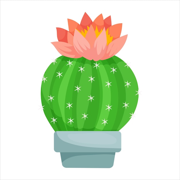Cute cacti in pots and with plants Indoor plants succulents Prickly plants in cartoon style vector illustration isolated on white background