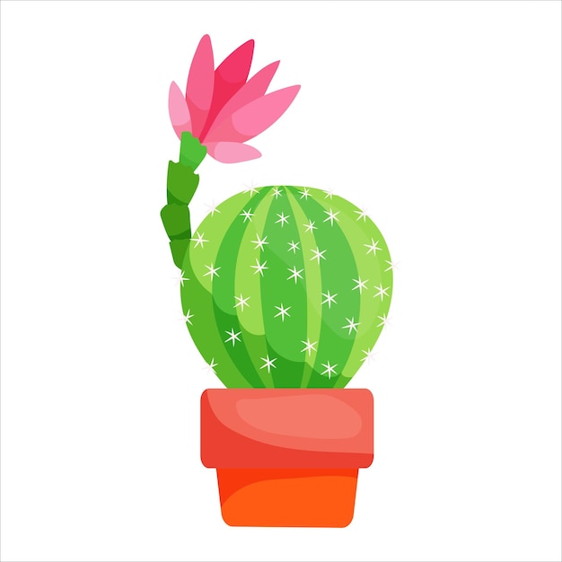 Cute cacti in pots and with plants Indoor plants succulents Prickly plants in cartoon style vector illustration isolated on white background