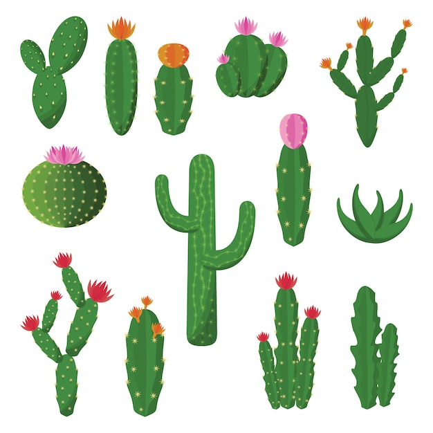 Insieme piano dell'illustrazione di progettazione della pianta sveglia dei cactus cactus